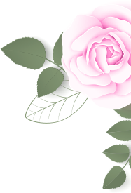 rose fleure